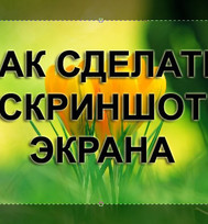 uPages, Алена, Как сделать скриншот экрана: все способы