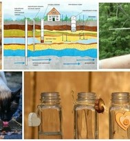 uPages, Алена, Как найти воду на участке без специального оборудования?