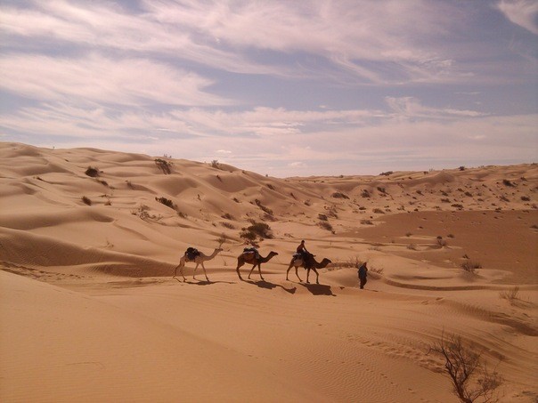 Сахара в Тунисе