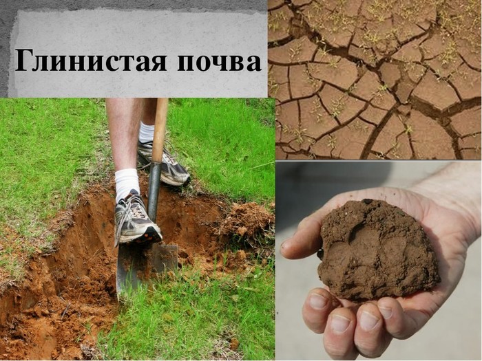 uPages. Александр. Удачное дело. Фото 8 uPages. Александр. Удачное дело. Фото 8