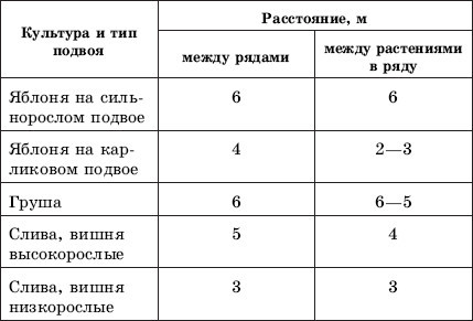uPages. Александр. Все в сад!. Фото 3 uPages. Александр. Все в сад!. Фото 3